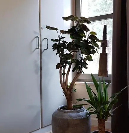 Bergenhof فندق مبيت وإفطار