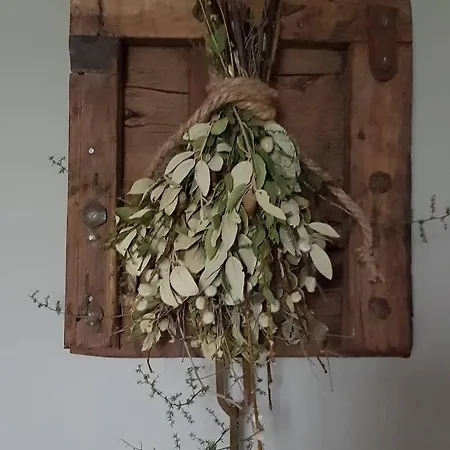 Bergenhof هوخستراتين